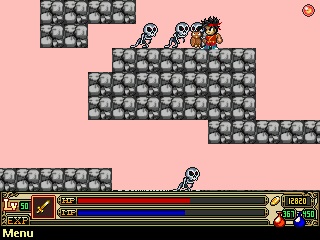 Ninja 3